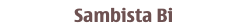 Sambista Bi