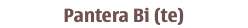 Pantera Bi (te)