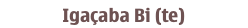 Igaçaba Bi (te)