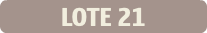 LOTE 21